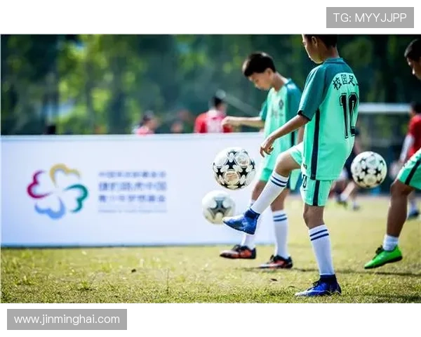 追逐梦想的绿茵传奇我的理想足球明星之路