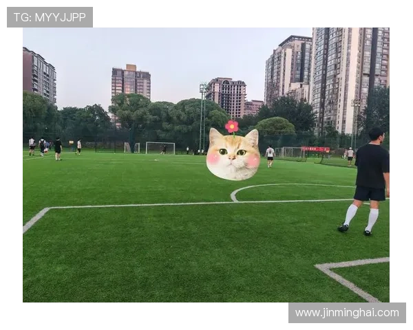 身高177的足球明星如何在绿茵场上展现非凡魅力与实力